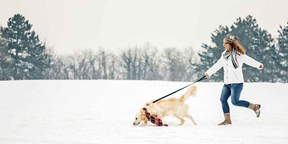 8 Cold Weather Dog Safety Tips - Wirtschafts Welten